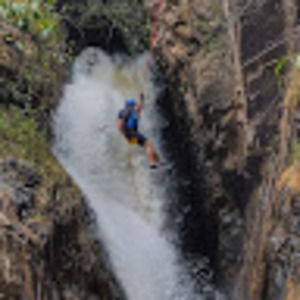 Meet your Posher, Jesse